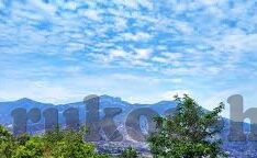 麻豆传媒进入-麻豆传媒的跨界之旅，文化交融与市场探索