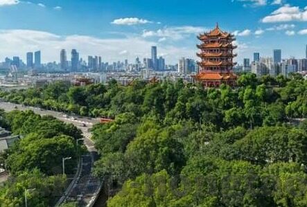 麻豆传媒在线视频-孟婆汤不甜——麻豆传媒在线视频的迷思与现实