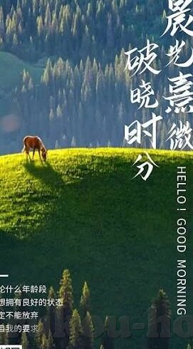 麻豆日记黄瓜视频下载-麻豆日记，黄瓜视频的探寻之旅