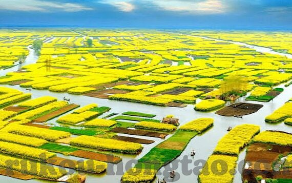 麻豆视频app安卓版下载-走进多媒体新视界，麻豆视频app安卓版下载