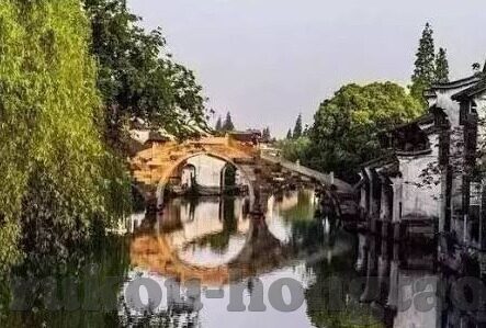麻豆视频随落的人妻-麻豆视频下的温婉背叛——人妻角色的暗夜独舞